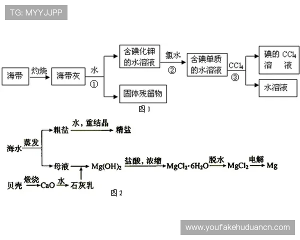 全面解析AG国际真人版全站登录流程与常见问题解决方案，助你顺利畅玩每一场游戏